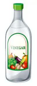 Illustration of white vinegar bottle